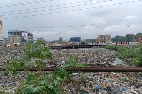 Kinshasa : Les aventures de Ngobila sur l’assainissement de la ville et la gestion des déchets